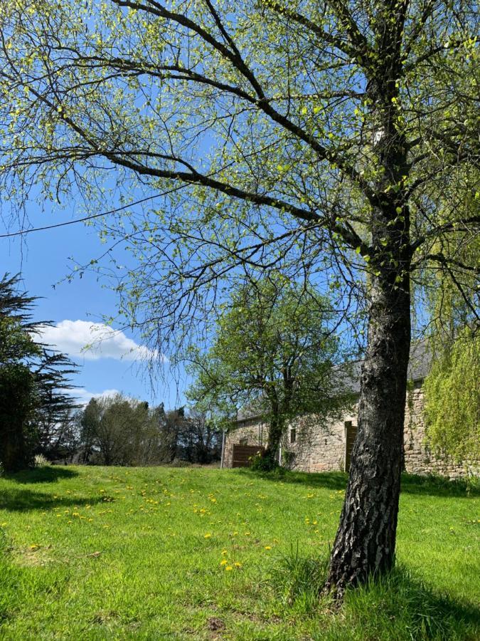 Domaine De La Blanche Hermine Plounerin エクステリア 写真