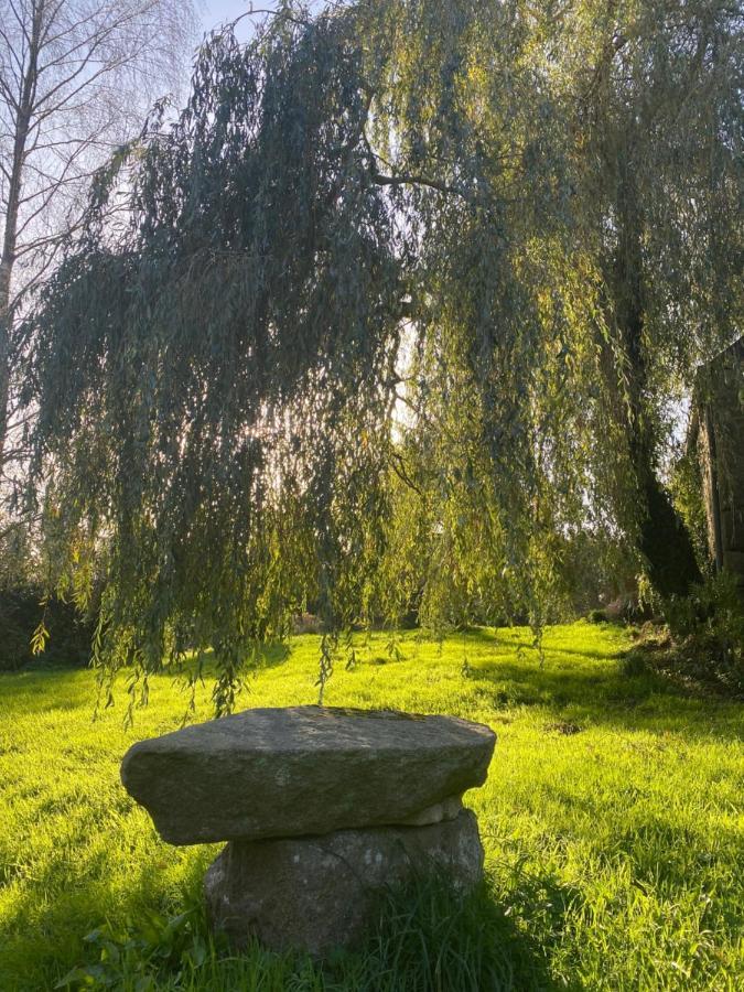 Domaine De La Blanche Hermine Plounerin エクステリア 写真