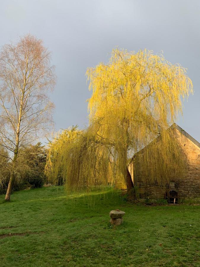 Domaine De La Blanche Hermine Plounerin エクステリア 写真