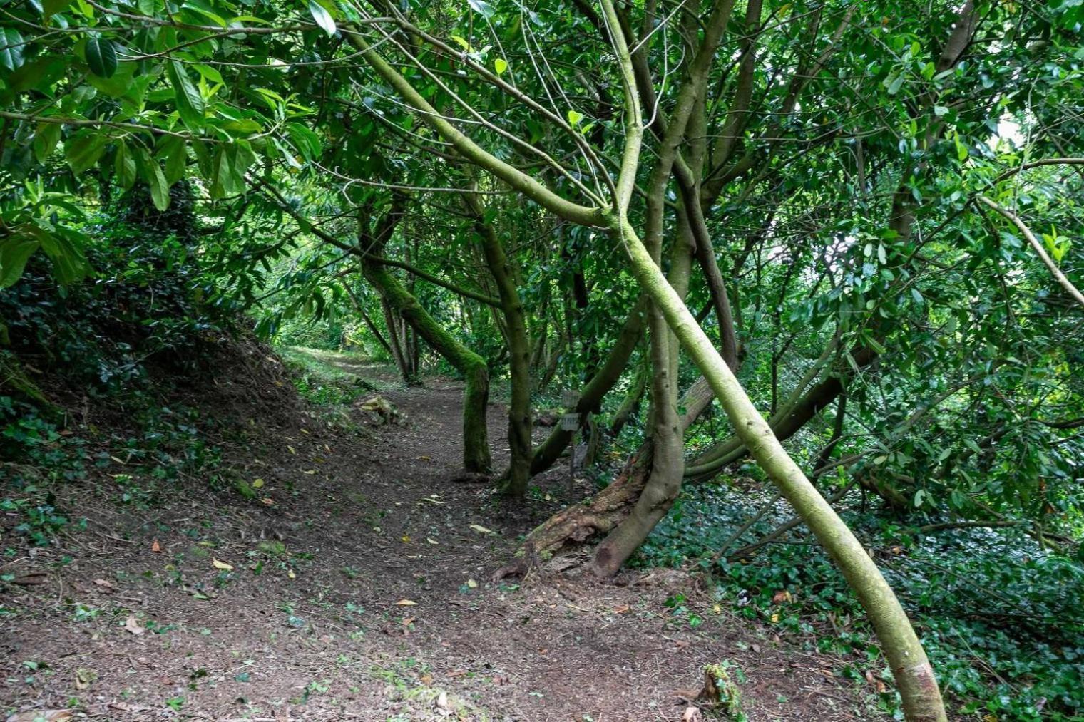 Domaine De La Blanche Hermine Plounerin エクステリア 写真